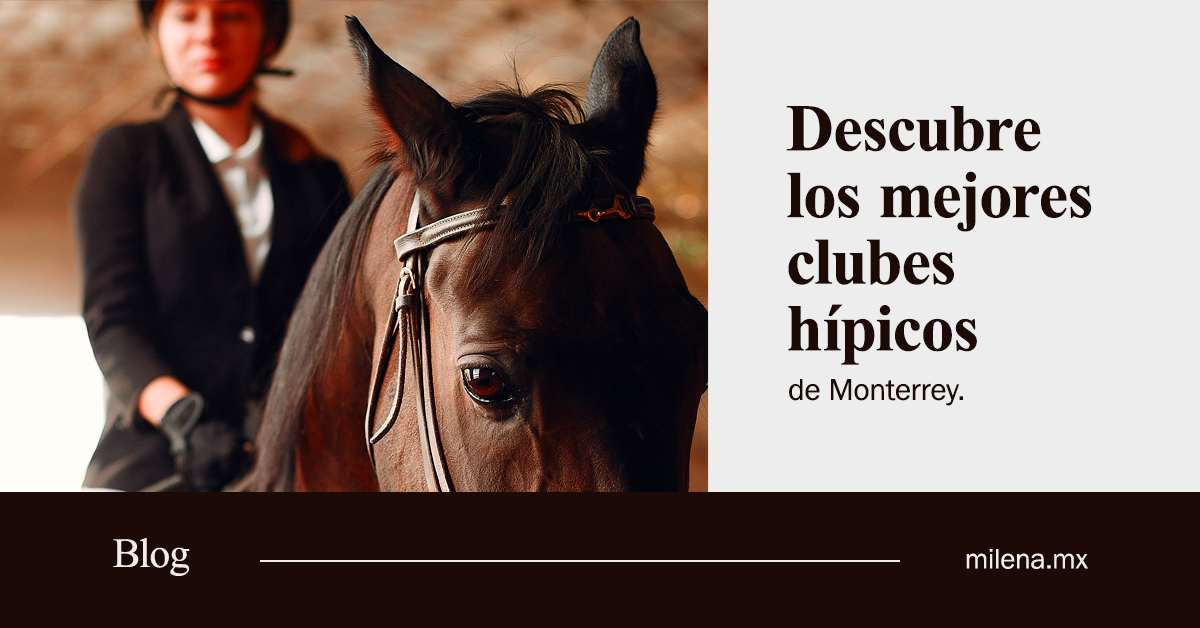 descubre los mejores clubes hípicos de monterrey