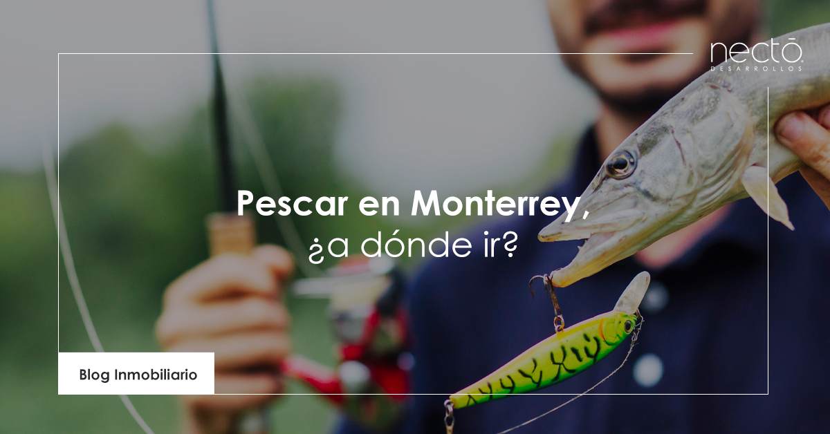 pescar en monterrey a dónde ir