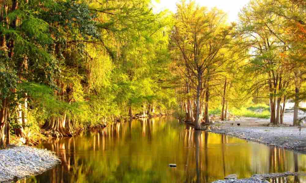 Emprende un tour por la zona citrícola de Nuevo León