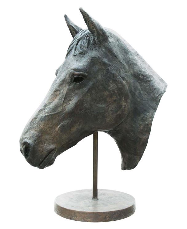 Cómo expresar tu gusto por la equitación al interior de tu departamento